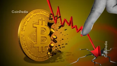 比特币价格为何暴跌？