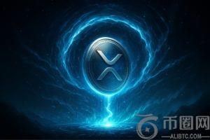 黑天鹅资本家对XRP持有者发出严重警告