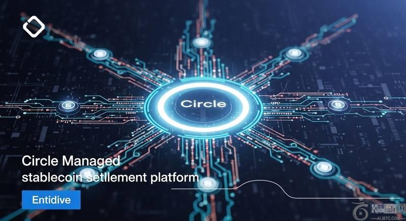 机构级Circle稳定币结算平台