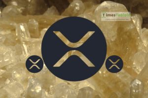 专家观点：瑞波币2030年涨至1000美元？现实还是幻想？