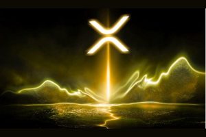 Canary Capital首席执行官揭露XRP惊人真相