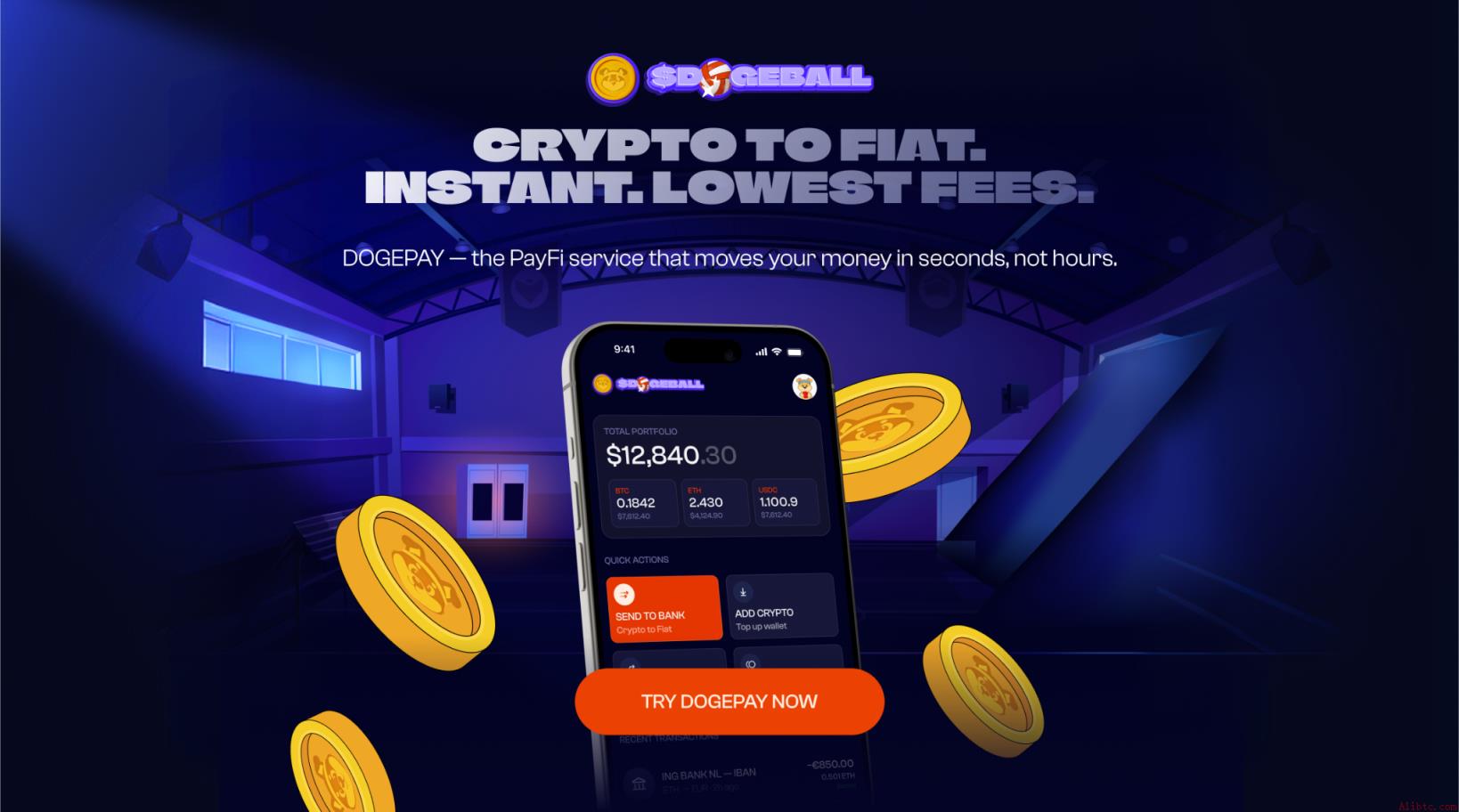 DOGEBALL的直连银行支付功能使其成为当前最值得投资的加密预售项目之一