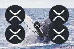 鲸鱼正从交易所撤离瑞波币，下一步行情走向何方？