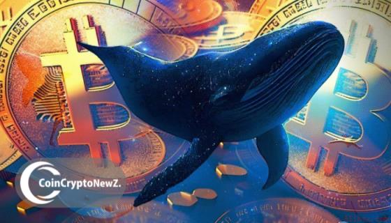 币安官网注册｜Hyperliquid巨鲸持超800 BTC净多头，币安用户可实时追踪轧空信号