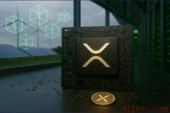 专家揭秘XRP横盘期间为何保持淡定