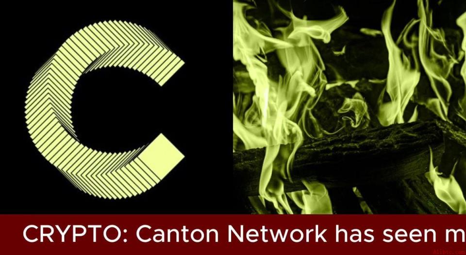Canton Network 实现 30 天 6600 万美元营收