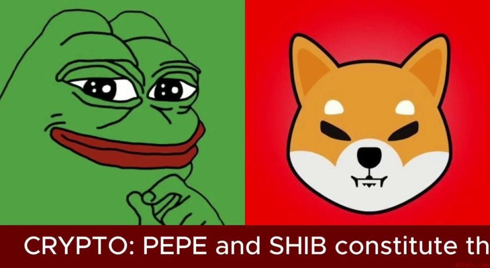 SHIB与PEPE持有者激增，币安官网注册用户飙升
