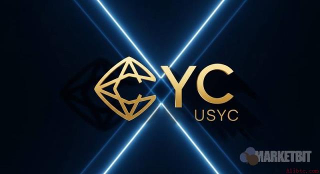 Circle USYC 规模突破30亿美元，登顶最大代币化货币市场基金