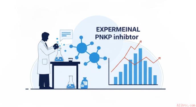 온코이노베이션스，加快PNKP抑制剂临床准备速度…AI与数据业务同步扩展