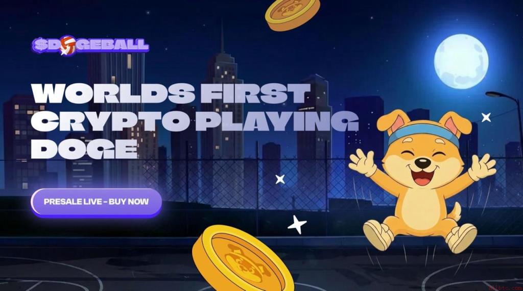 DOGEBALL预售0.0005美元：早期布局机会与币安入口推荐