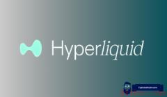Injective (INJ) 与 Hyperliquid (HYPE)：谁能带来百万级财富回报？