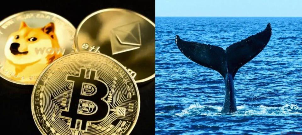 币安官网注册用户关注巨鲸0x152e斥资2100万美元布局三大资产