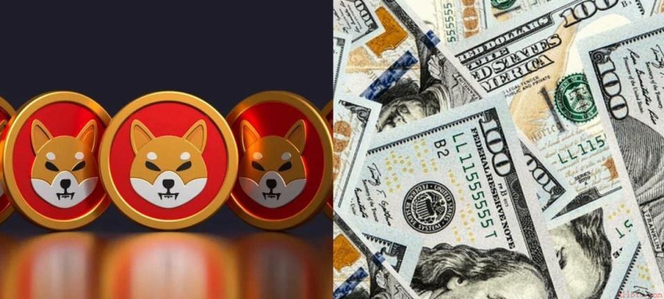 Shiba Inu 持有者正从交易所撤出代币