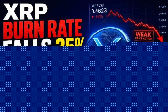 瑞波币销毁率下降35%且币价持续疲软：后续影响解析
