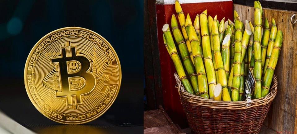 比特币将用甘蔗能源开采？