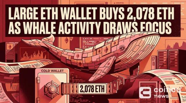 巨额以太坊钱包购入2078枚ETH，鲸鱼动态引发市场瞩目