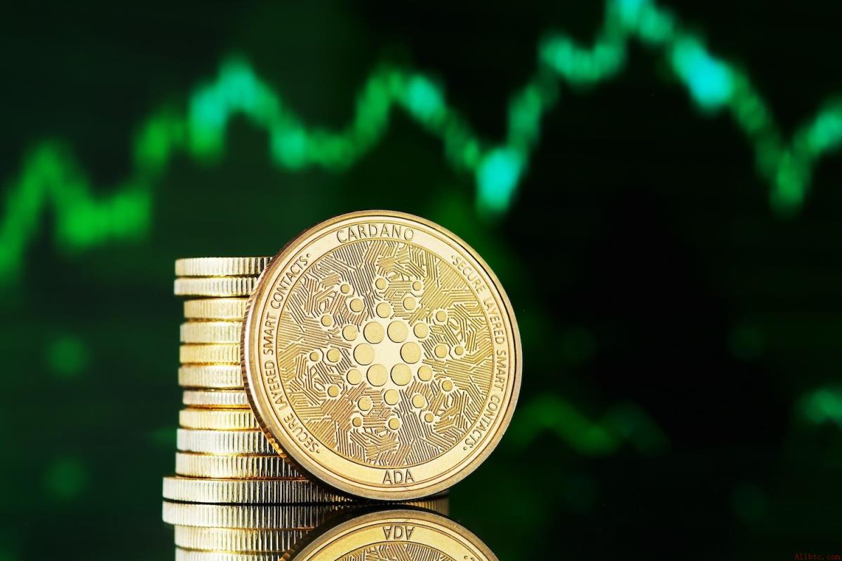 ADA暴跌80% 卡尔达诺社区内部批评声浪加剧