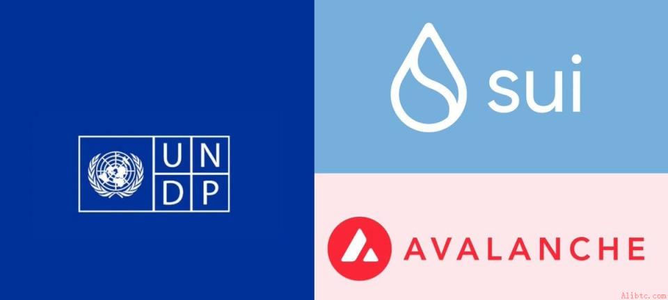 联合国联合Sui、Avalanche与Cardano成立区块链咨询小组
