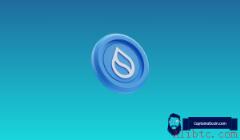 SUI价格预测：Sui能否在下轮牛市中冲击10美元？