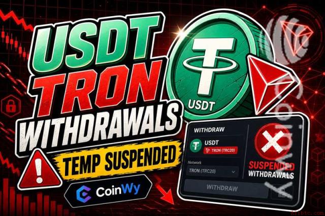USDT Tron提现临时暂停 | CoinWy