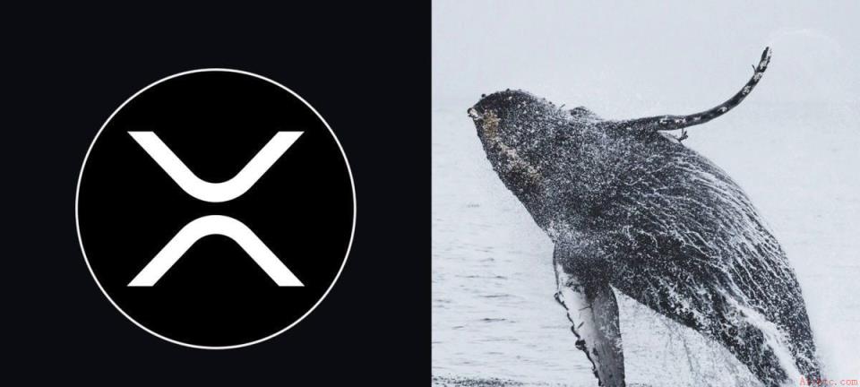 XRP大户增持激增，价格飙升9%