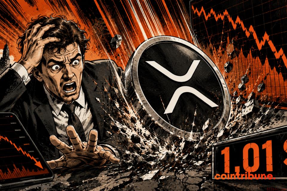 随着XRP市场份额下滑，Ripple面临日益加剧的压力
