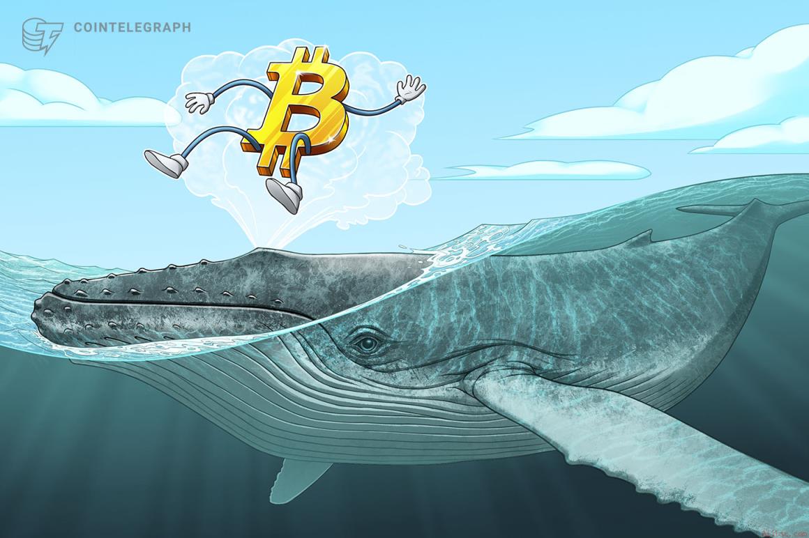 5万枚BTC亏损转移，比特币再临投降风险