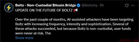 Boltz官方更新截图
