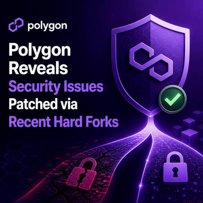 Polygon 披露近期硬分叉修复的安全问题