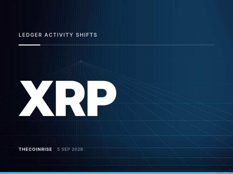 XRP账本活动变化：活跃账户减少，大额交易增多，转移价值上升