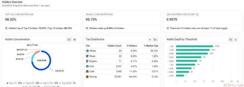 PIEVERSE Holder Distribution