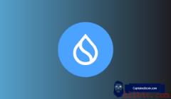 SUI价格新闻：这一重大指标刚刚转为看涨