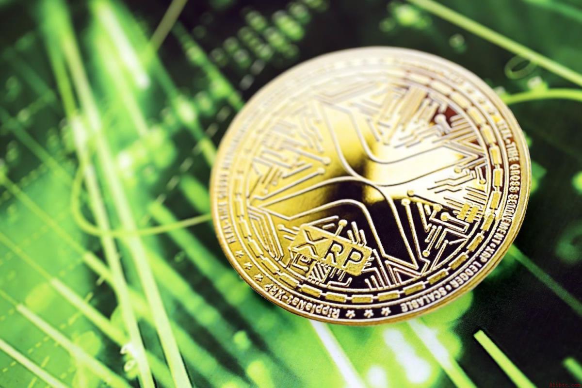 XRP突破1.544美元关键阻力，鲸鱼持仓激增引发市场关注