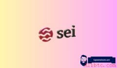 SEI价格单日涨6%周涨幅达40%，ETF预期与升级催化行情