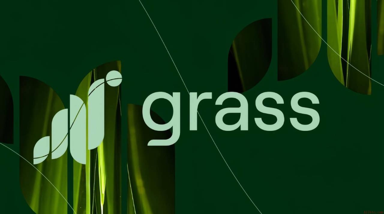 Grass年收入达3400万美元，2026年上半年再创1700万佳绩