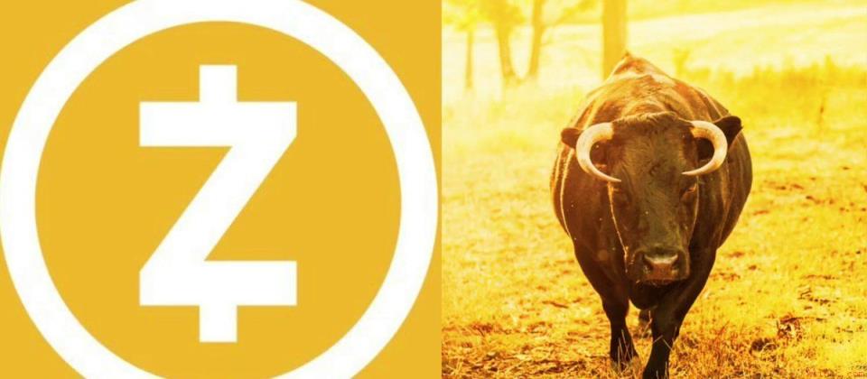 巨鲸增持3100万美元ZEC，链上积累引发市场关注