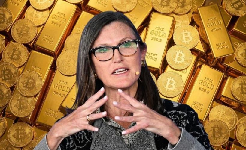 Cathie Wood：比特币技术驱动去通胀，与黄金相关性转负