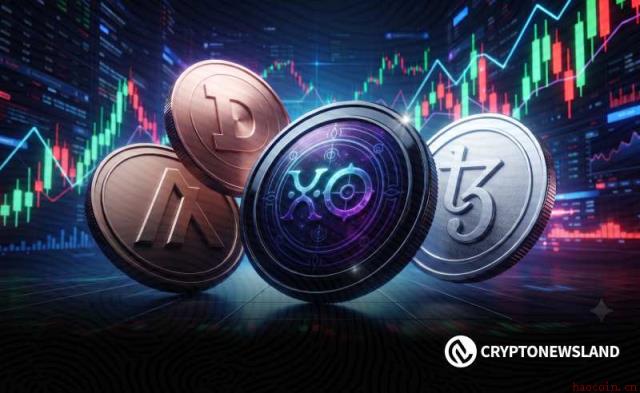 CELR、LYX、NLS：三低市值币的实用价值与增长潜力
