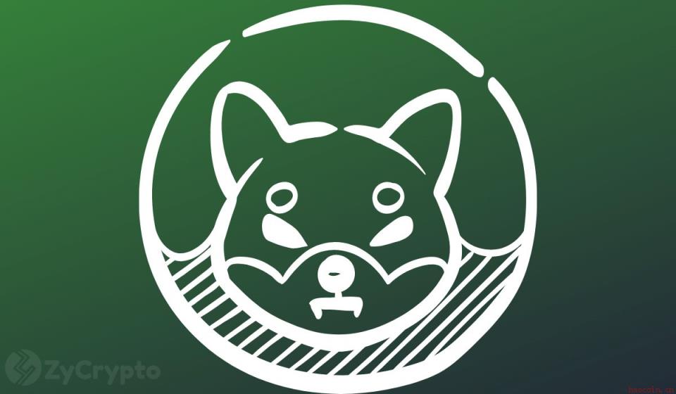 Shiba Inu支付新机遇：Binance Pay接入PayPay拓展日本市场