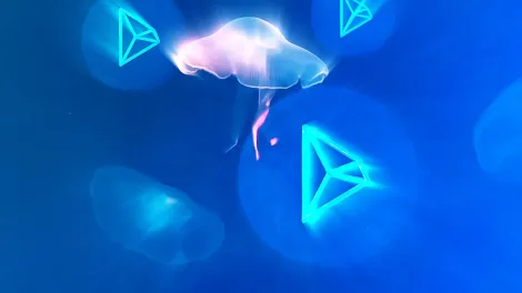 波场测试网启用后量子密码学 抗量子布局领先行业