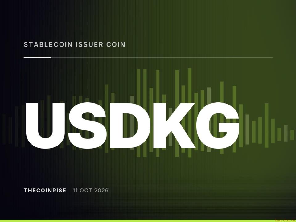USDKG稳定币发行商与Coin Nomad交易所面临吉尔吉斯斯坦清算危机