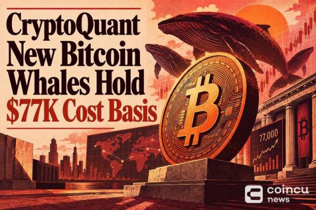 CryptoQuant：新比特币巨鲸持仓成本约7.7万美元，成市场信心关键参考