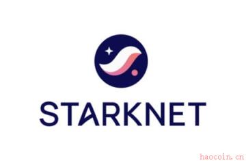 Starknet 治理投票开启：探索独立Layer-1可行性