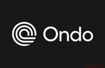 ONDO代币价值争议：治理权与资产规模增长的博弈